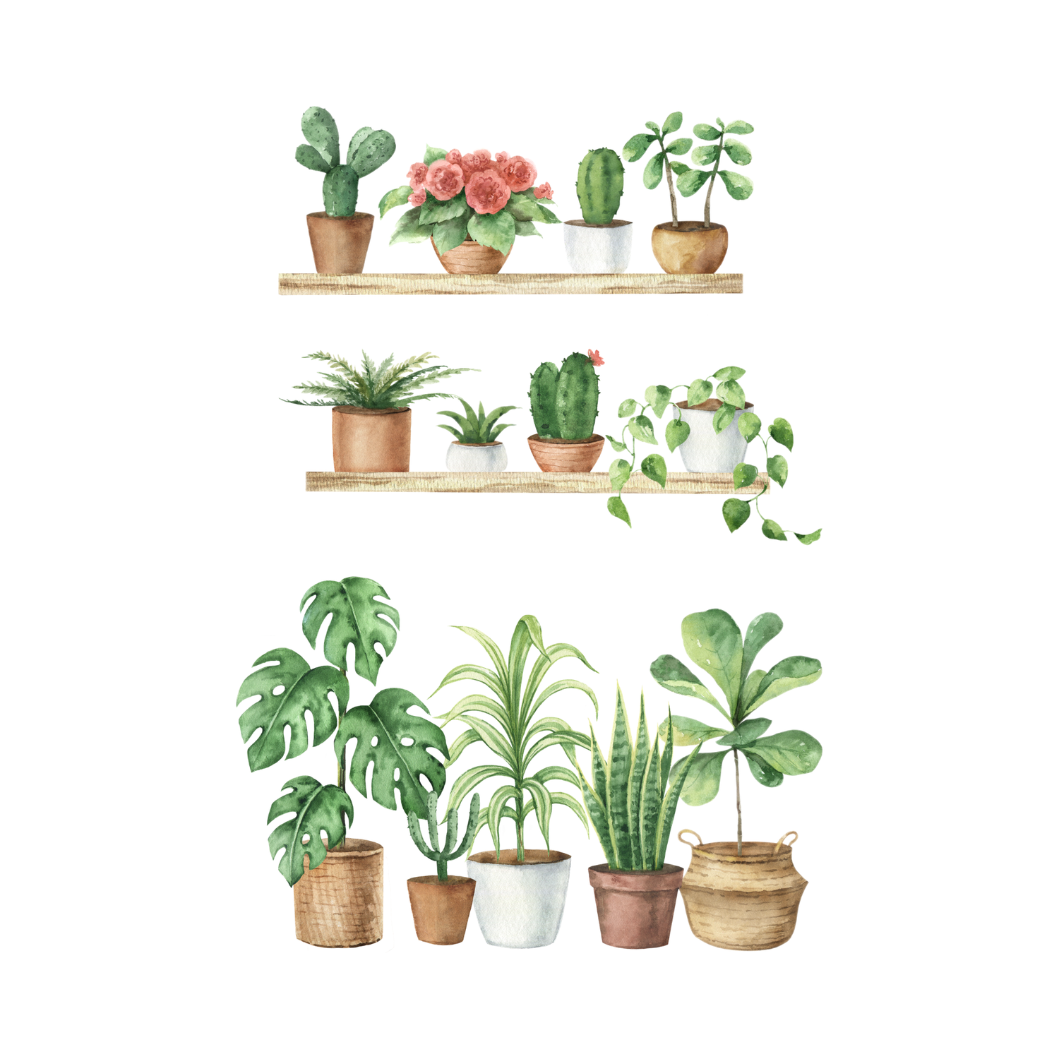 Plant Stuff