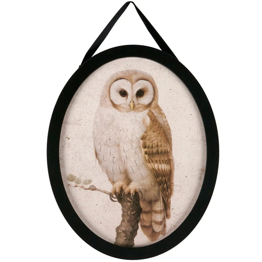 Hanging Owl Picture