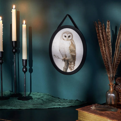 Hanging Owl Picture